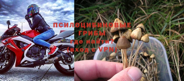 стафф Краснотурьинск