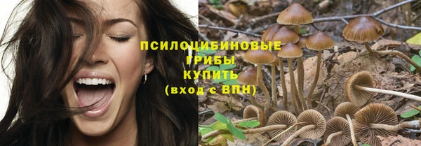 стафф Краснотурьинск