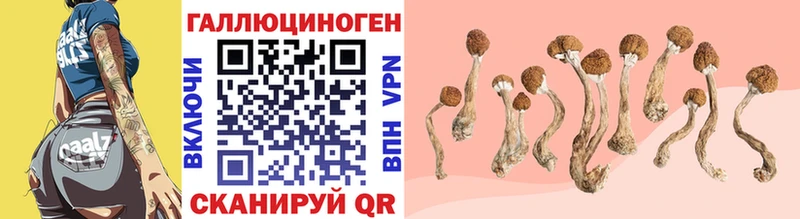 Галлюциногенные грибы ЛСД  цены наркотик  Лосино-Петровский 